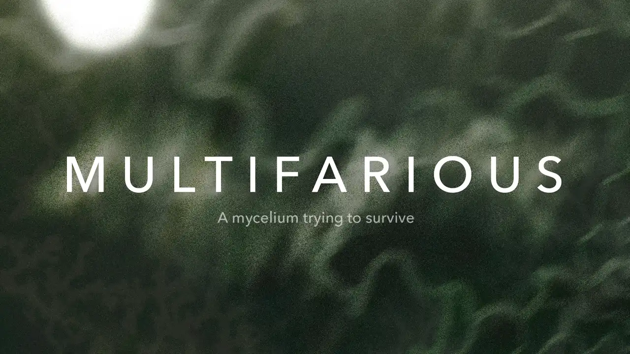 Multifarious trailer